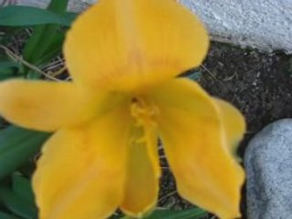 Law of Attraction Wealth Money Prosperity Affirmations ...