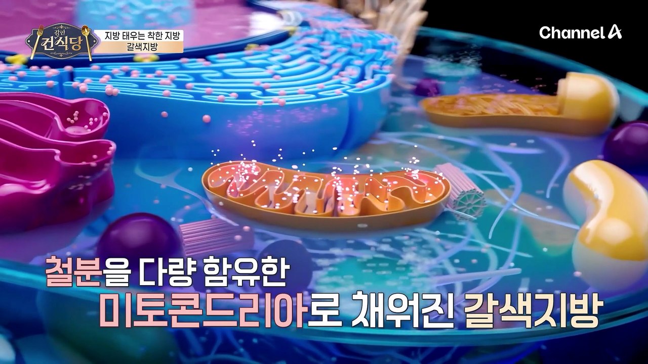 지방이 지방을 없앤다!? 열을 내 에너지를 태우는 갈색지방의 활성화를 돕는 '파라다이스 그레인'