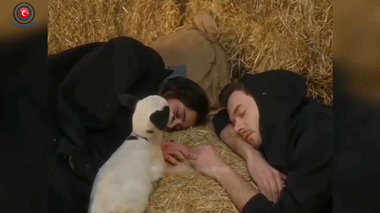 مسلسل أنت من أحببت الحلقة 11 اعلان 3 مترجم للعر...