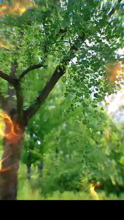 [Deutsche Untertitel] Spiel nicht mit dem Schicksalsfäden! ganzer film