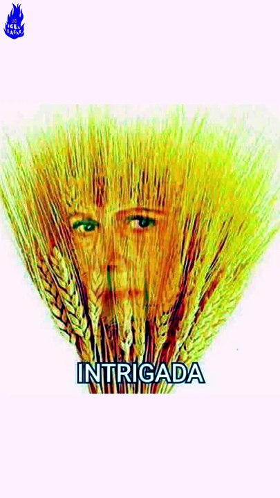Odio A La Ex De Mi Novio