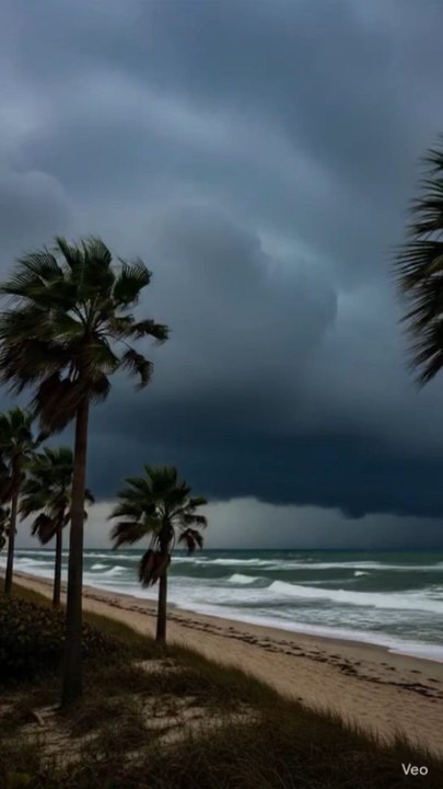 Florida Beach