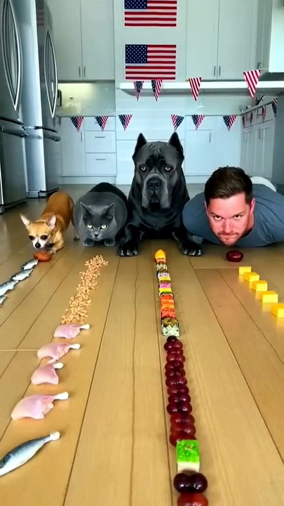 تحدي السرعة المذهل! 🐾🍽️ | The Incredible Speed Challenge! 🐾🍽️