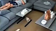 Try Not To Laugh 😂