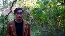 【هذا الفيلم مترجم إلى العربية】جزيرة التماسيح _ Crocodile Island _ iQIYI Arabic