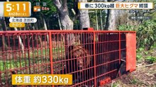 グッド!モーニング  動画　2026年04月28日 Miomio 動画 5mio.org