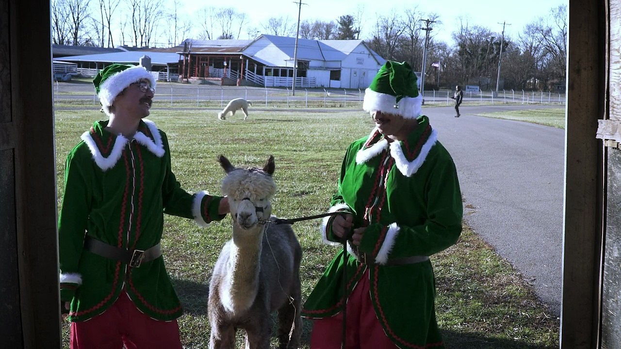 Alpacalypse 2024