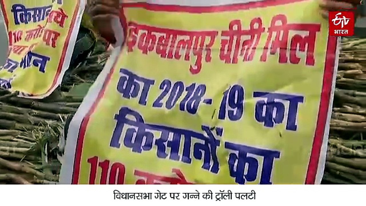 कांग्रेस MLA ने विधानसभा के आगे ट्रॉली में लदा गन्ना पलटाया, किसानों के ₹110 करोड़ के बकाया भुगतान की मांग