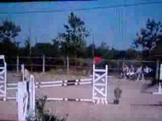 Photo 015