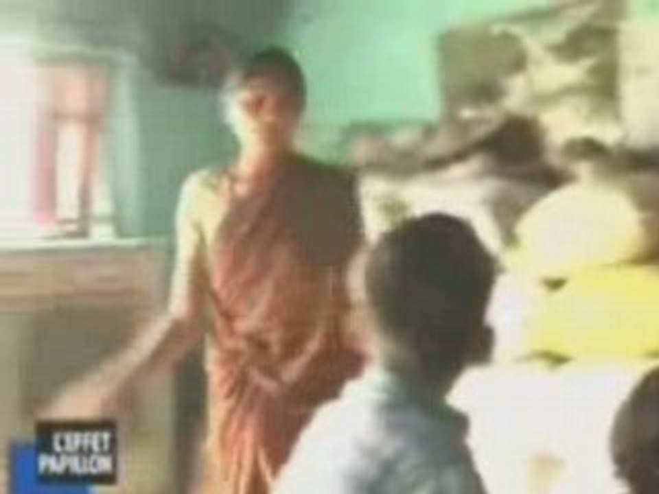 coton ogm en inde