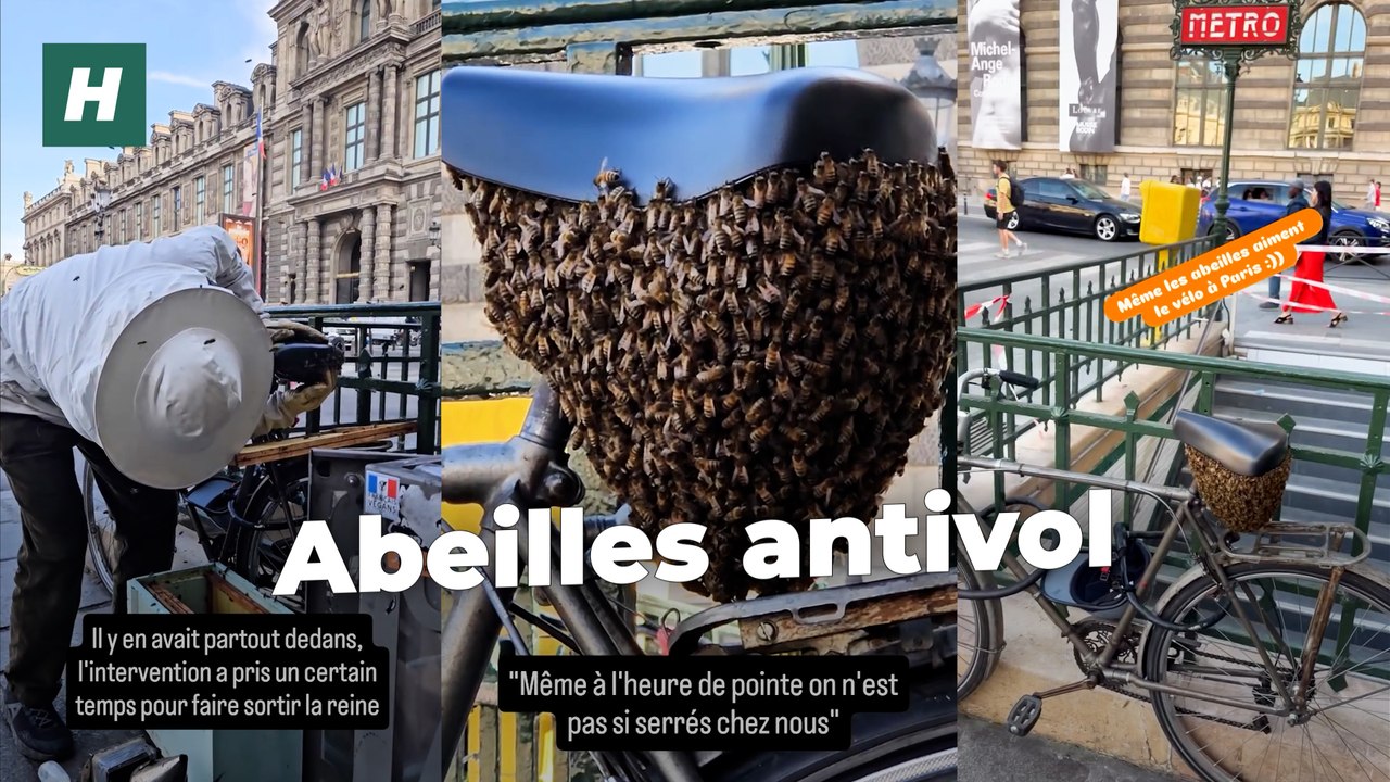 À Paris, cet essaim d’abeilles s’est formé à un endroit très inhabituel