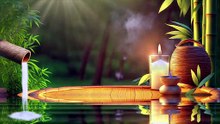 Fermez les Yeux… 🌿 Bambou Apaisant & Sérénité Profonde pour l’Esprit