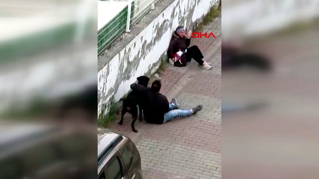 Ümraniye’de korku dolu anlar! Ağızlıksız rottweiler küçük köpeğe saldırdı