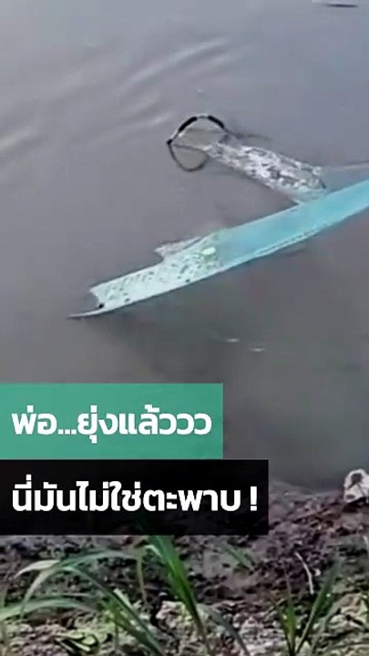พ่อยุ่งแล้ว.. ลูกสาวดูตกใจแต่เสียงคือสดใสมาก