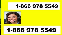 USA『HP PRINTER CUSTOMER®』 SERVICE© CARE℗ NUMBERS TOLL FREE NUMBER: Easy Step by Step Guide