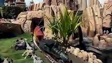 Passou 27 anos a construir Disneyland no quintal de casa. Eis o resultado