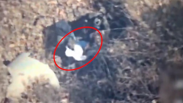 Momento de la detención del narco 'El Jardinero', el nuevo líder del Cartel Jalisco Nueva Generación