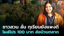 ชาวสวน ลั่น ทุเรียนยังแพงดี โผล่โปร 100 บาท ส่อป่วนตลาด | จับข่าวคุย | 28 เม.ย. 69