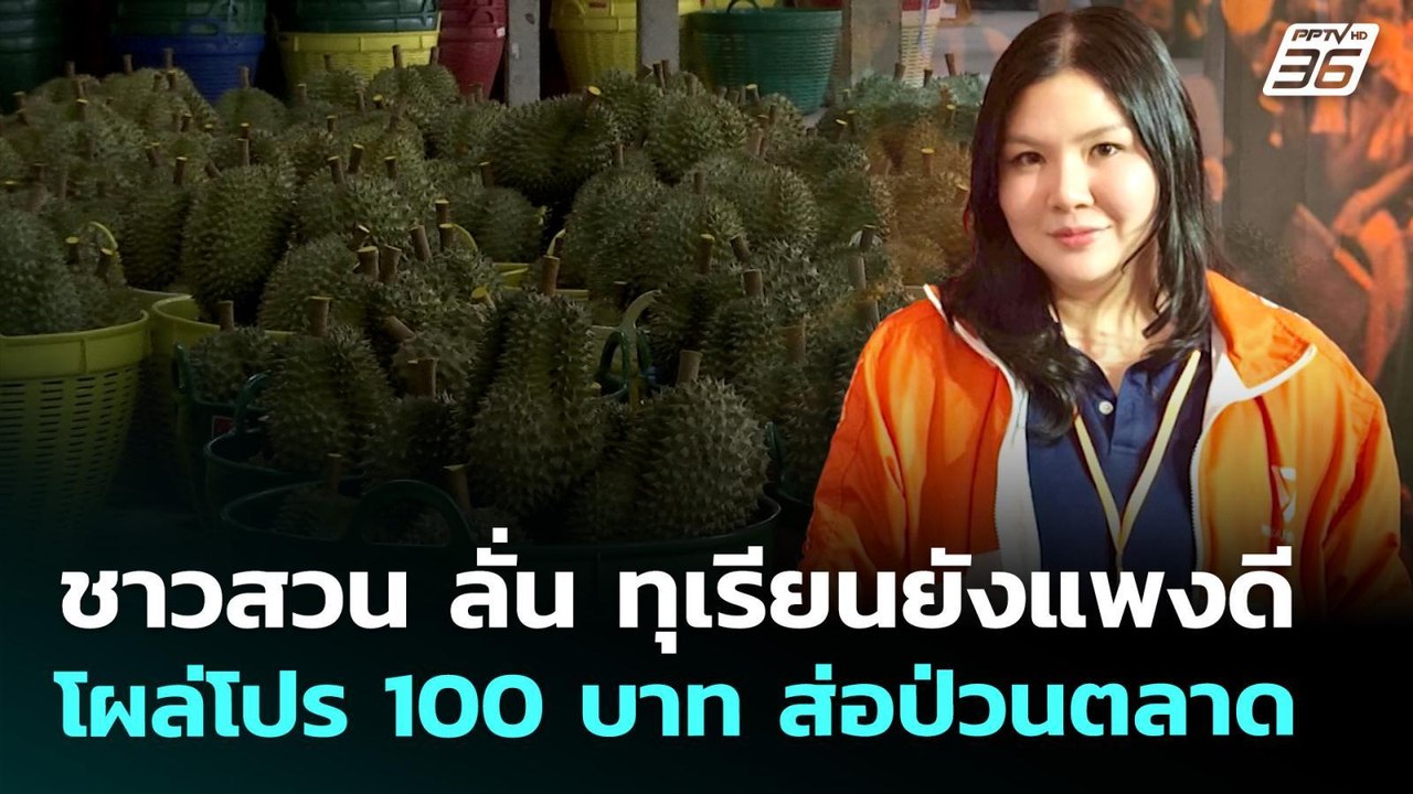 ชาวสวน ลั่น ทุเรียนยังแพงดี โผล่โปร 100 บาท ส่อ...