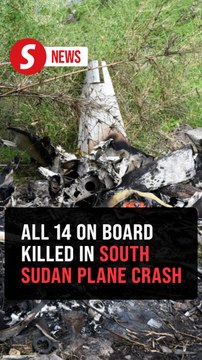 South Sudan confirms 14 dead in plane crash near Juba