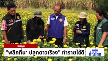 “พลิกที่นา ปลูกดาวเรือง” ทำรายได้ดี  | เนชั่นทั่วไทย | 28 เม.ย. 69 | PART 2