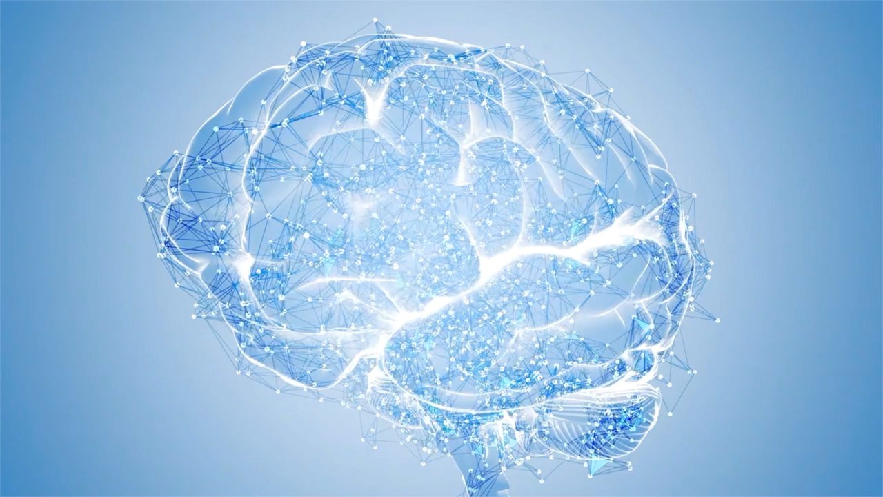 How the brain experiences space: a surprisingly mathematical view