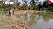 भीषण गर्मी में वाटर होल बने हाथियों के स्विमिंग पूल, प्यास बुझाने के साथ कर रहे मस्ती