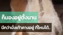 ก็มองอยู่ตั้งนาน... ที่ไหนได้ 🤣
