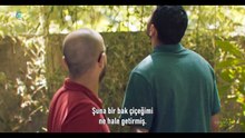 Kurbağa (10)