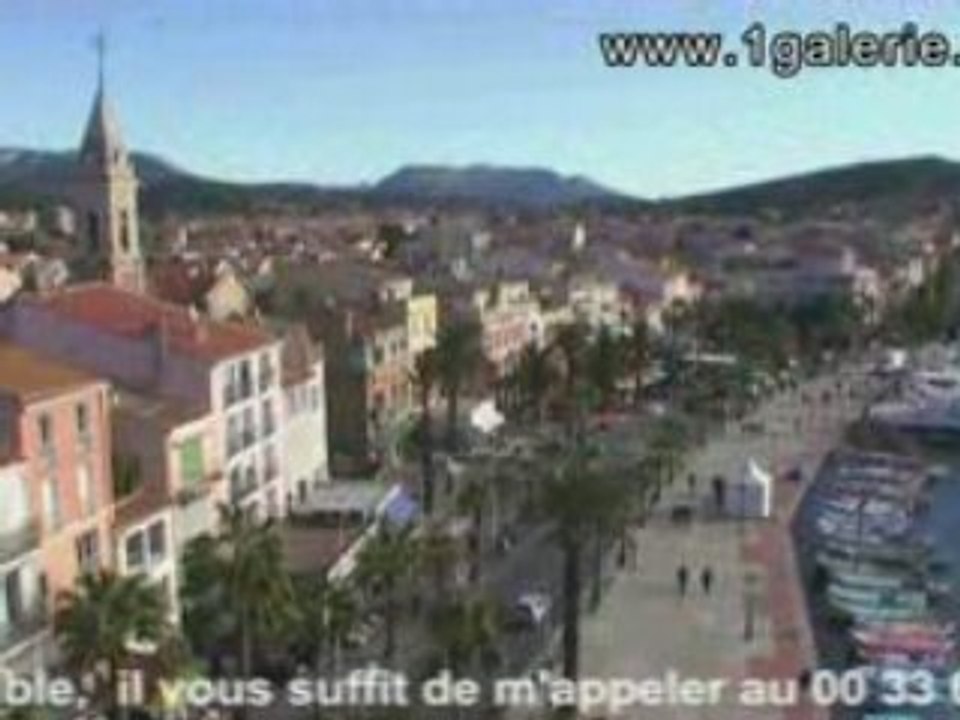 Tournesols et petites roses réf: 2010 Adaoust