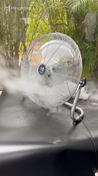 Mingletec BLDC floor fan with screen control #mingletec #BLDC #floorfans #remotecontrol #screencontrol #touchcontrol #office #outdoors #danceroom #ventilation #highspeed #highspeed #hotsellproduct #fyp #fypシ #tiktok