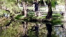 Ace! The Golf King's Reconquest #reelshort - Full Movie🌷_480x848