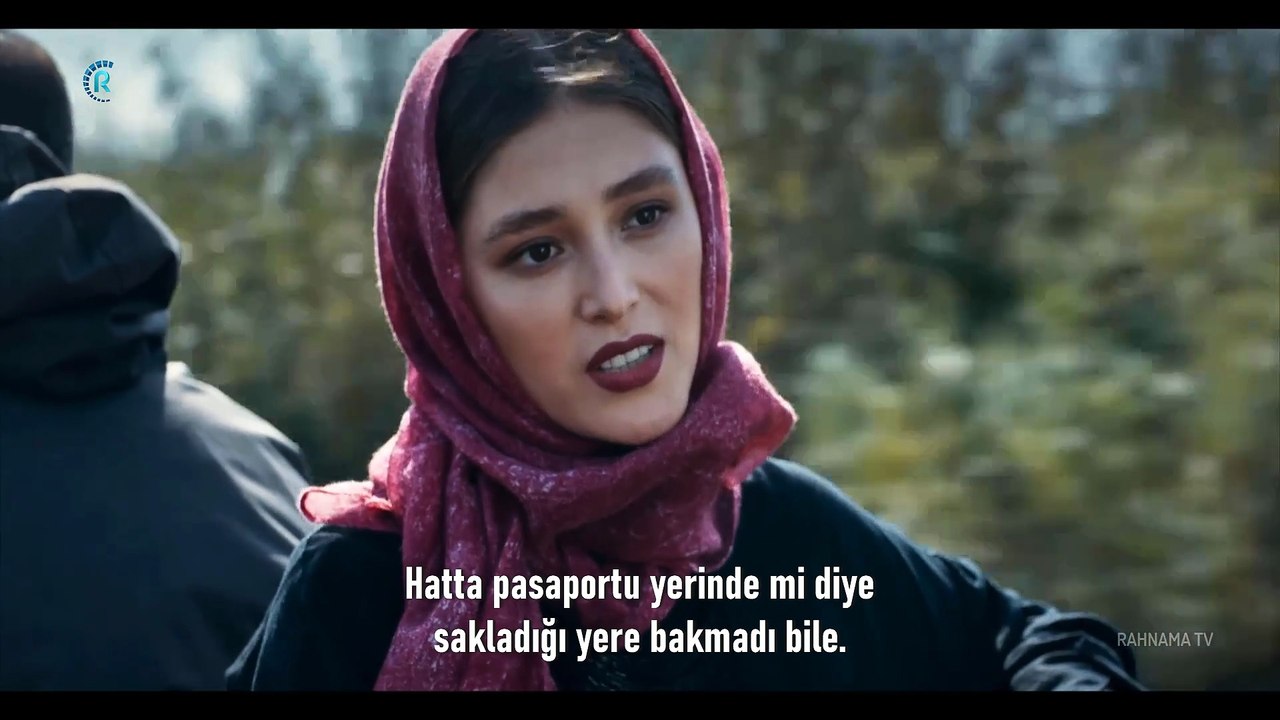 Kurbağa (14)
