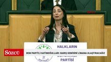 DEM Parti'li Hatimoğulları: Barış gemisini limana ulaştıracağız