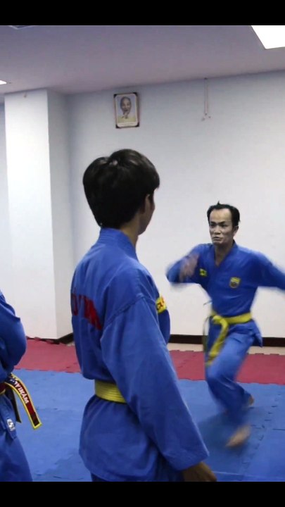 Viet Vo Dao: A Unique Fusion of Martial Arts