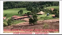 FAZENDA COM 1150 ALQUEIRÃO A VENDA CMC