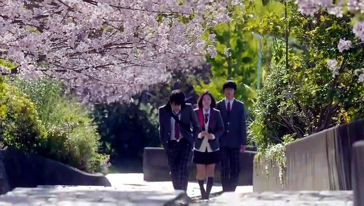 Your Lie in April Eng sub
