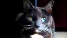 Video Upload test via API - 2026-04-28 15:00