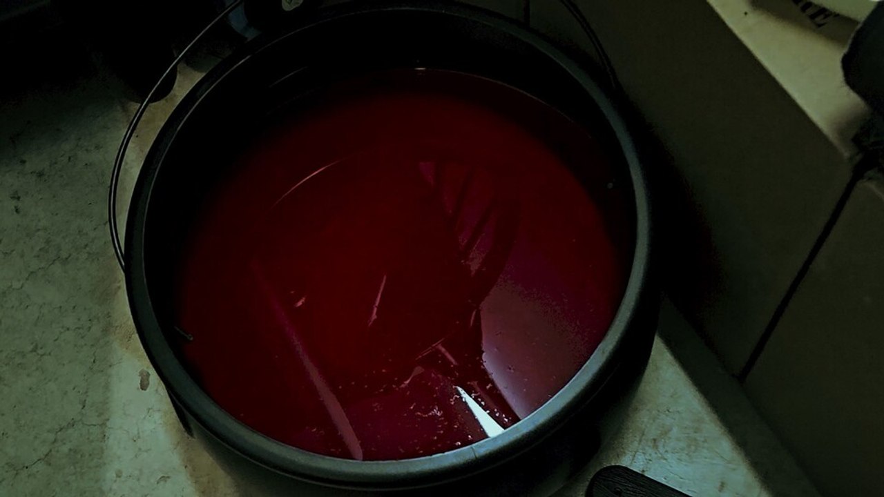 In was ist jules da nur reingeraten?