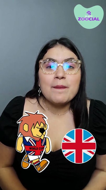 La’eeb y otras mascotas que representaron los mundiales