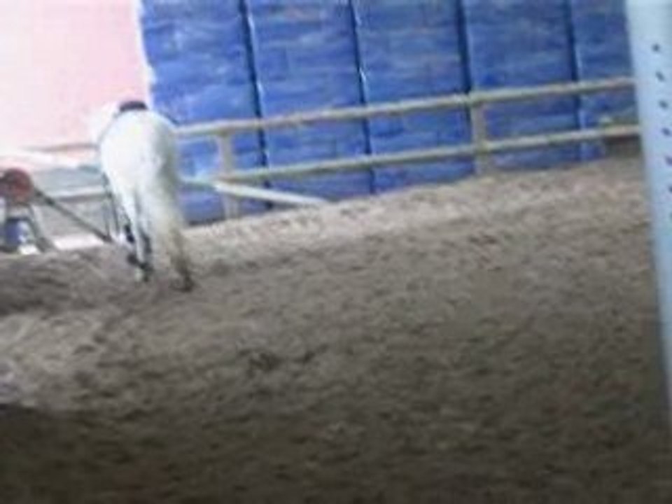 Julie, la pro du saut