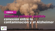 Estudios señalan posible conexión entre la contaminación y el Alzheimer