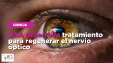 UAA desarrolla tratamiento para regenerar el nervio óptico