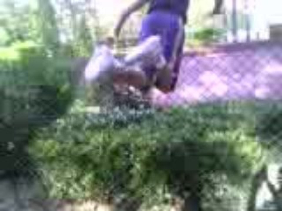Tim chute