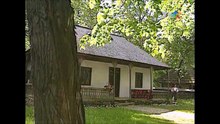 Viorica Galan Dumbrava - Nu te legana bradut (arhiva TVR)