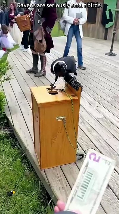 Odin would be proud