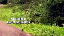Only Hog can do it... Do do do it!