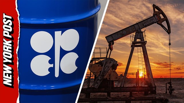 What is OPEC? All about UAE's exit from the oil cartel