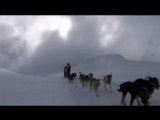 La Grande Odyssée sleddog race -Teaser 2