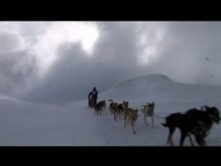 La Grande Odyssée sleddog race -Teaser 2